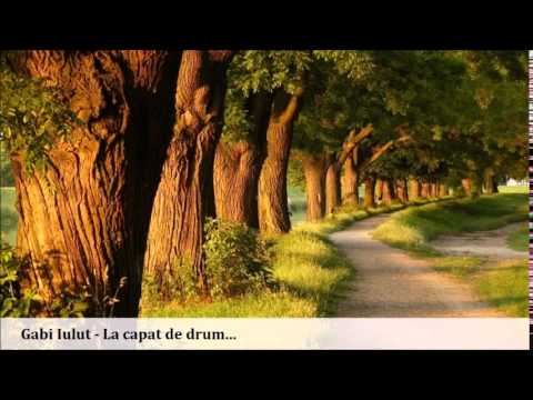 Gabi Ilut - La capat de drum