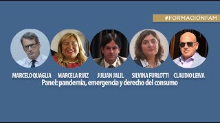 Panel: pandemia, emergencia y derecho del consumo.