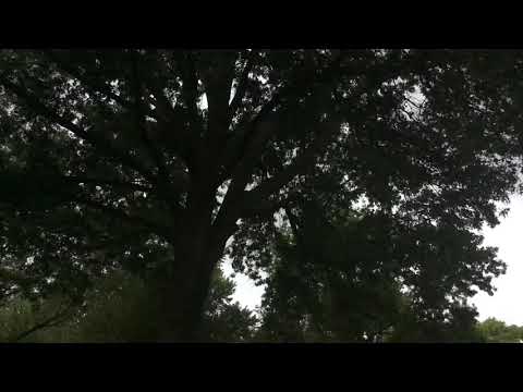 Approaching Thunderstorms With Shelf Cloud!!! May 27, 2021 Pt1