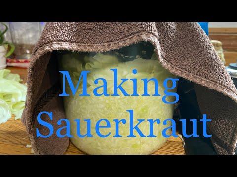 Ep. 139: Making Sauerkraut - Fermenting Cabbage