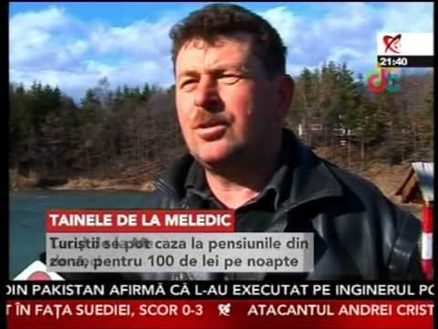 Meledic, taramul sarii