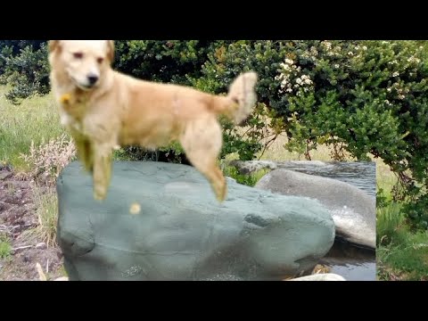 Rio chitaga y La piedra de la trucha y un recorrido por la naturalza  ♥️💯🇨🇴