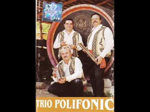 Trio Polifonic - La culesul viilor