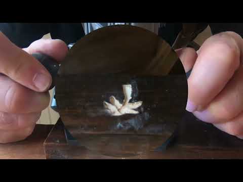 Inlay 1 Crushed Mother of Pearl