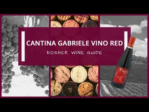 Cantina Gabriele Vino Red | Kosher Wine Guide