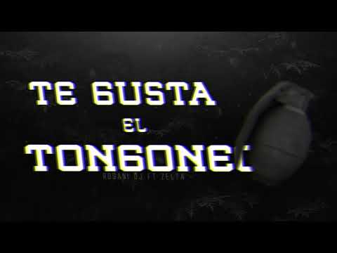 TE GUSTA EL TONGONEO - ROSANI DJ ft ZELTA