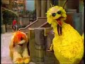 Classic Sesame Street Big Bird S Disguise 1981