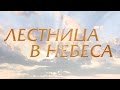 Лестница в небеса (14 серия) 