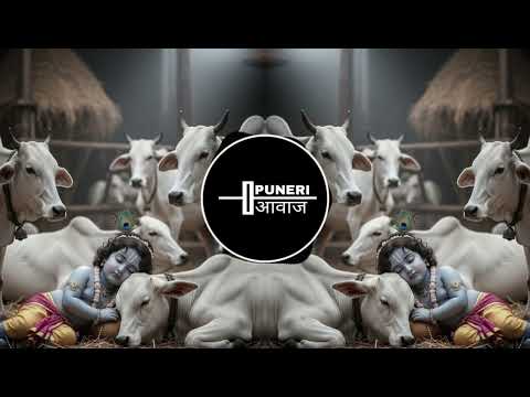 Kanha Tuzi Gaay Re DJ Remix - Marathi Super Hit Koligeet
