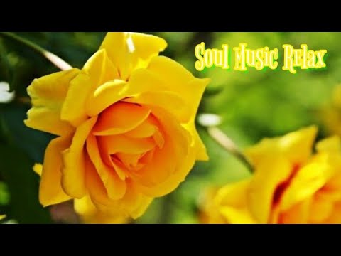 Relaxing Music for Meditation, Sleep and Stress Relief •Tuniyants