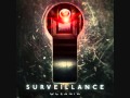Surveillance - Eye to Eye 
