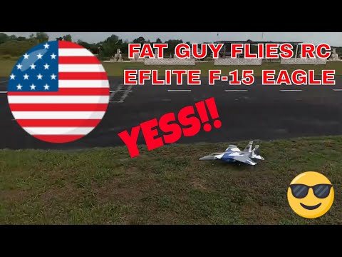 Review of the Eflite F 15 Eagle by Fat Guy Flies Rc