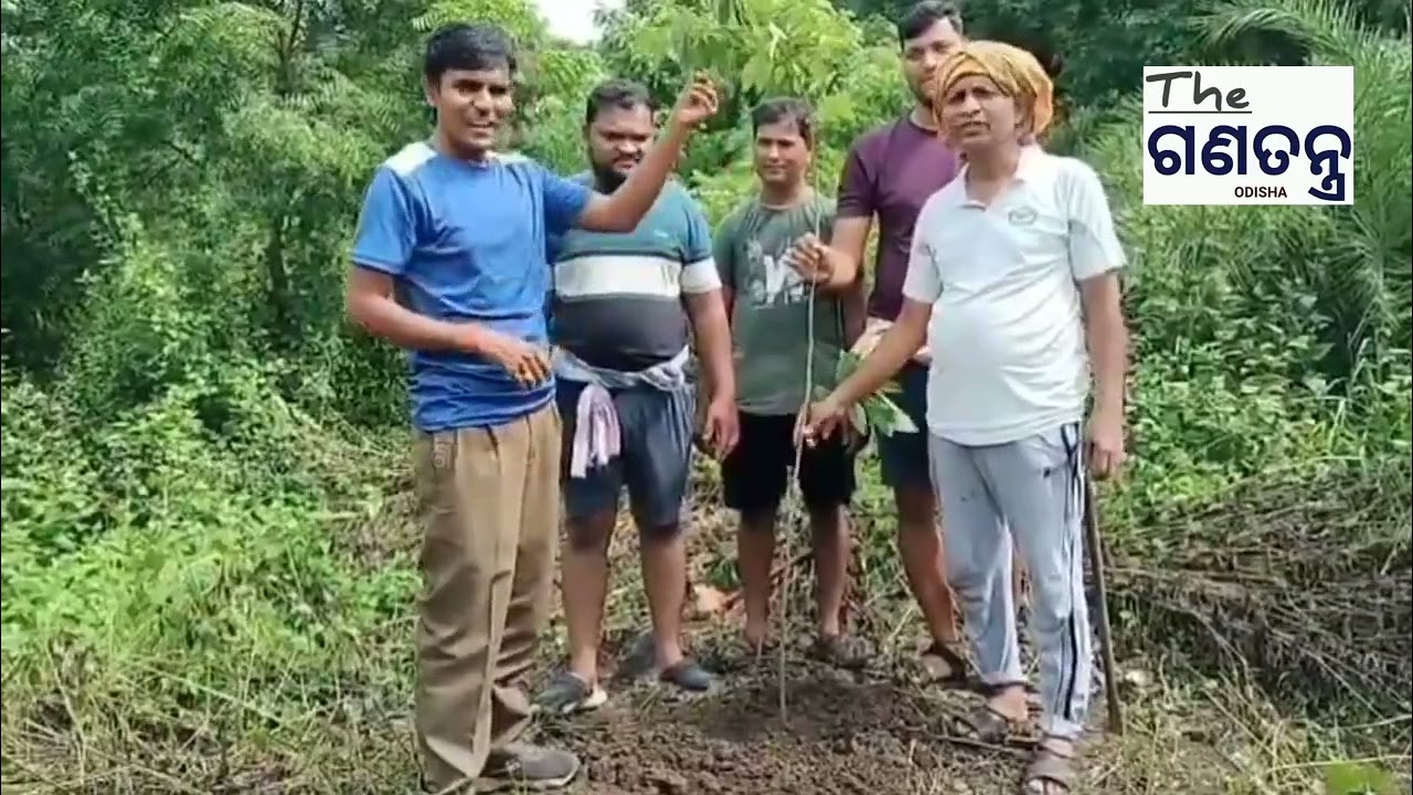 ପ୍ରଧାନମନ୍ତ୍ରୀ ନରେନ୍ଦ୍ର ମୋଦୀଙ୍କ ଆହ୍ୱାନ କ୍ରମେ ଗାଁର ଯୁବକମାନେ ଗଛ ଲଗାଇବା ଆରମ୍ଭ କଲେ। #bjp #narendramodi #theganatantraodisha #breakingnews #latestnews #bjp #odisha #india #news