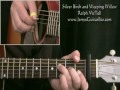 How To Play Ralph McTell Silver Birch and Weeping Willow (intro only)