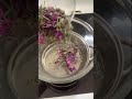 Homemade Lavender Infused Oil