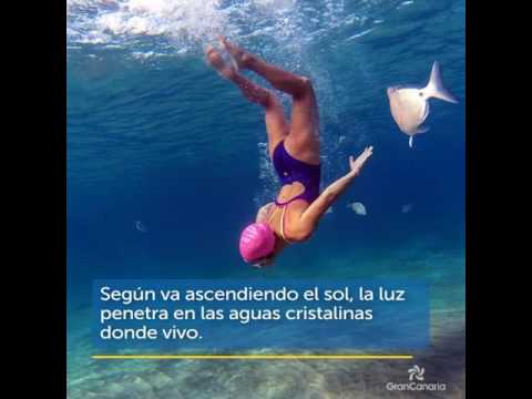 Playa de La Canteras A VISTA DE PEZ