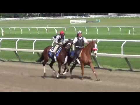 Wicked Strong breezes August 8 at Saratoga
