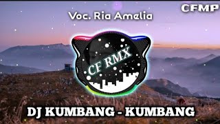 Download lagu DJ Kumbang - Kumbang ( Ade Irma ) Slow Remixduth by CF RMX mp3