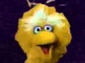Coming Soon On Sesame Street Bumper