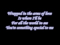 George Strait You're something special to me Lyrics