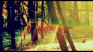 Childish Gambino - Hold You Down (INSTRUMENTAL)