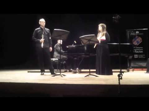 Demersseman, Guillaume Tell Duo Brillant