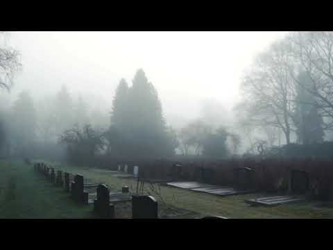 Let Me Fade Away (Instrumental Demo)