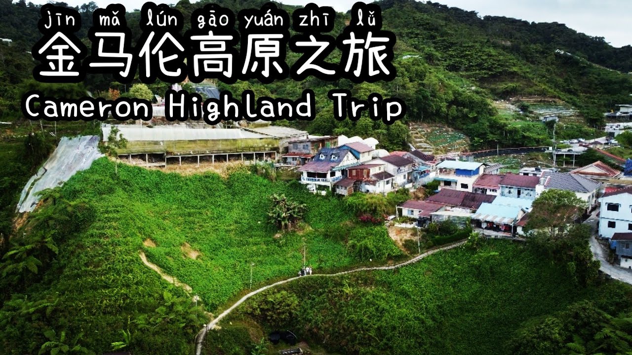 金马伦高原3天2夜行程 Cameron Highland Trip 必去景点 自采蔬菜 番茄园 阿贤有机火锅 homestay CHU KEA FARM