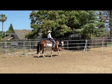 Kali McCormick & “A Little Bit Real” Green Rider Ranch Rail-Ranch Horse Online Classic