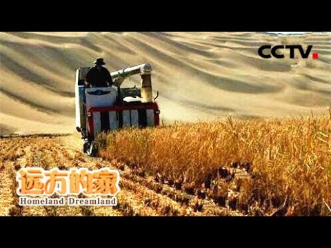《走遍中国》沙漠变良田  20180614 | CCTV中文国际
