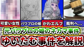 【パワプロ考察】裁判にまで発展...元パワプロ＆サカ＆ドラクエ10の姫が起こしたネカマ事件。ゆいたむ事件について解説【パワプロ2022】