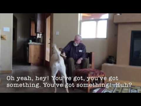 The Difference A Dog Can Make