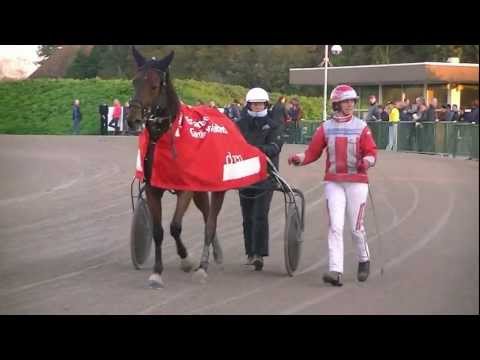 2011 Victoriaparkwolvega.nl prijs - Ninja Kronos (Caroline Aalbers) {handcam}