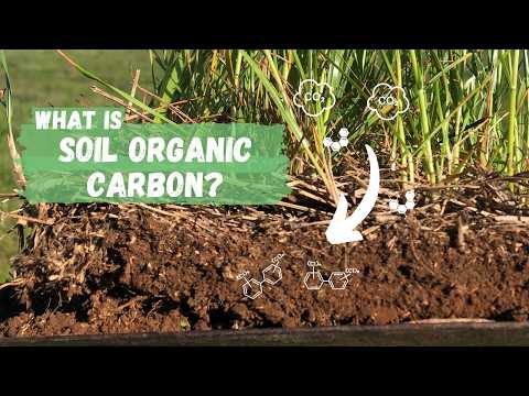 What is Soil Organic Carbon? | Regenerative Agriculture | Soil Carbon Course