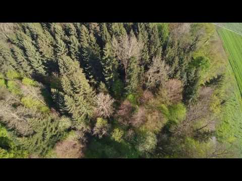 Niederwil 2017 04 21