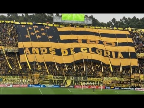 "20 minutos de Hinchada de Peñarol *Barra amsterdam*" Barra: Barra Amsterdam • Club: Peñarol • País: Uruguay