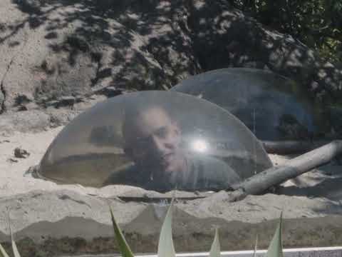 Jye - You Don't Matter to Me (Official Visualiser)