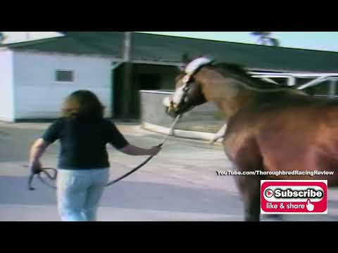 Deputy Minister Races in Florida