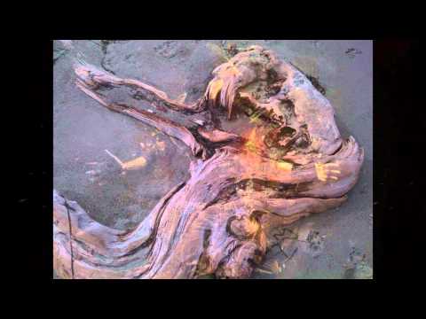 Wider View by Vinn Arjuna Martí