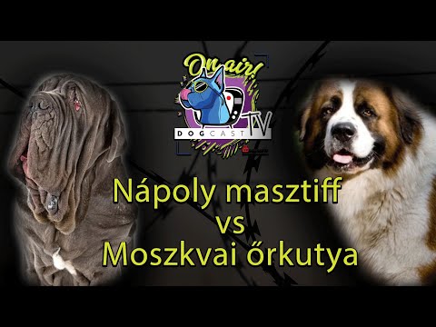 megbeszélni a pénisz méretét