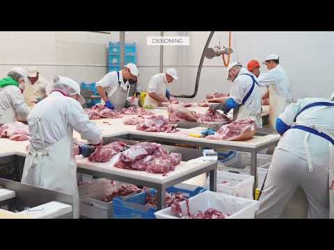 HATZIIOAKIMIDIS COMPANY