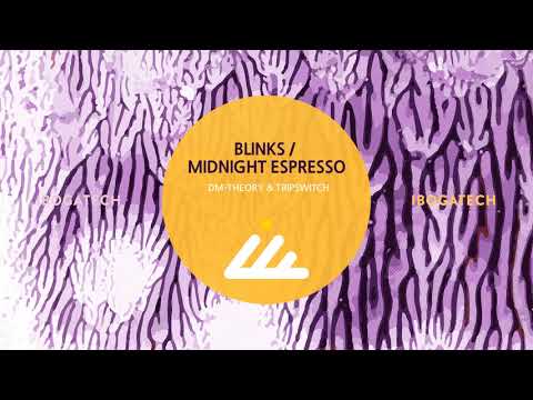 DM-Theory &Tripswitch - Blinks (Original mix)