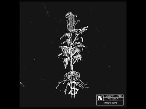 Nate57 x Guapo - Vergiftet (Prod by The Cratez) Official Audio