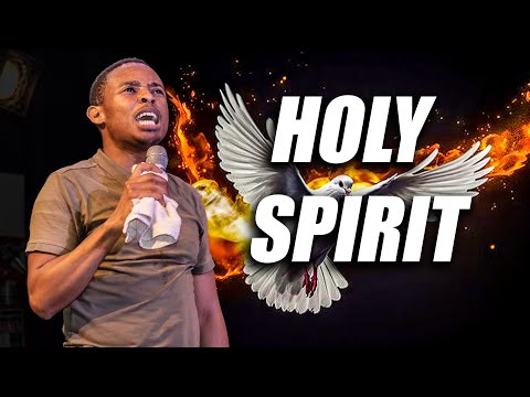 The Holy Spirit and the Believer (Basic Principles)