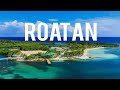 Roatan Honduras 8 Best Things To Do In Roatan Honduras