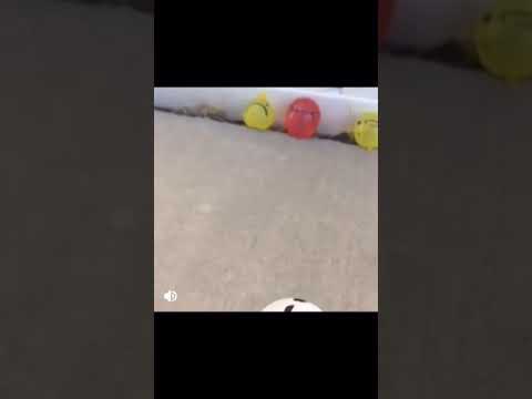 download lagu mp3 mp4 Jimmys Ballon, download lagu Jimmys Ballon gratis, unduh video klip Jimmys Ballon