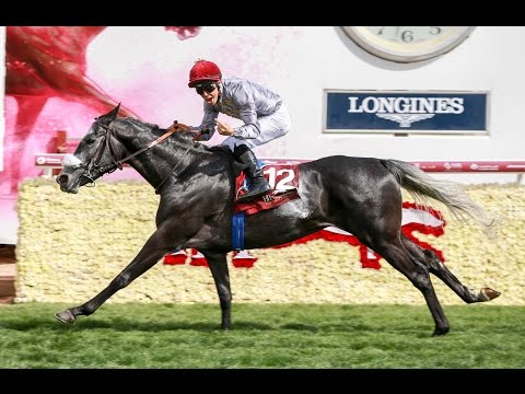 27th Race Meeting of Season 2016 / 2017