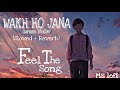 WAKH HO JANA Slowed Reverb Gurnam Bhullar Gurnambhullar Wakhhojana Sonambajwa