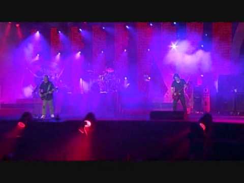 O Falcão - Xutos e Pontapés
