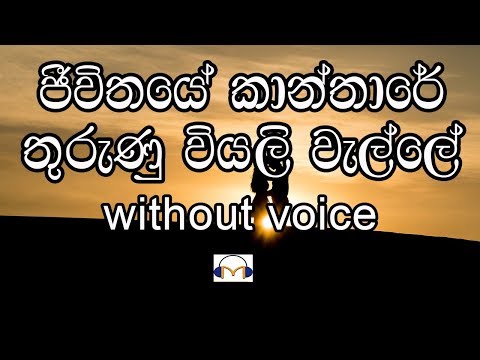 Jeewithaye Kanthare Karaoke (without voice) ජීවිතයේ කාන්තාරේ